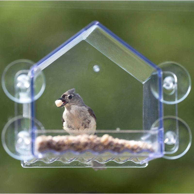 slide 3 of 8, Nature's Way Bird Products 2 Cup Clear View Plastic Window Bird Feeder 6.75": Suction Cup Mount, Shatterproof, 1 ct