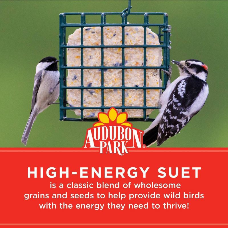 slide 3 of 4, Audubon Park 11oz High Energy Suet Wild Bird Food, 11 oz
