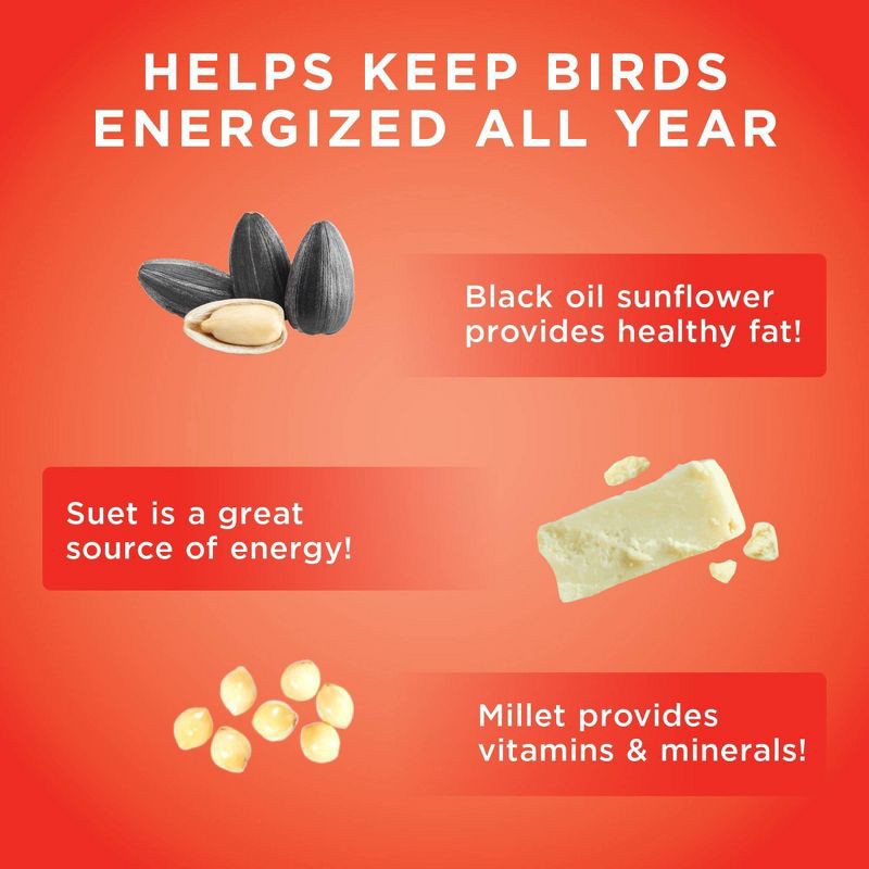 slide 4 of 4, Audubon Park 11oz High Energy Suet Wild Bird Food, 11 oz