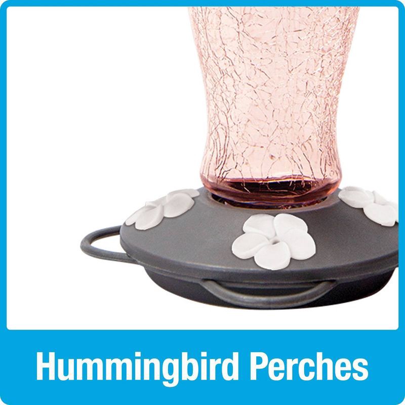 slide 6 of 6, Nature's Way Bird Products Artisan Gravity Hummingbird Feeder 7.5" - Blush Crackle, 1 ct