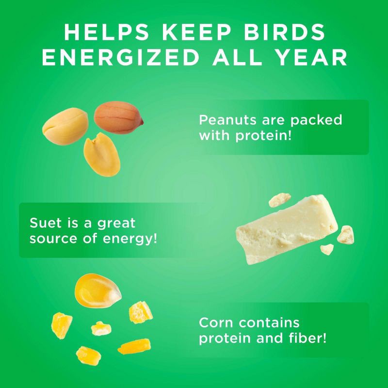 slide 4 of 4, Audubon Park 11oz Nutty Suet Wild Bird Food, 11 oz