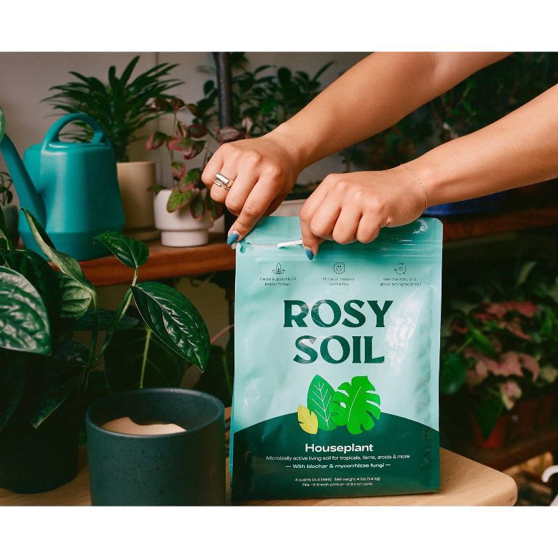slide 3 of 14, Rosy Soil 4qt Houseplant Mix, 4 qt