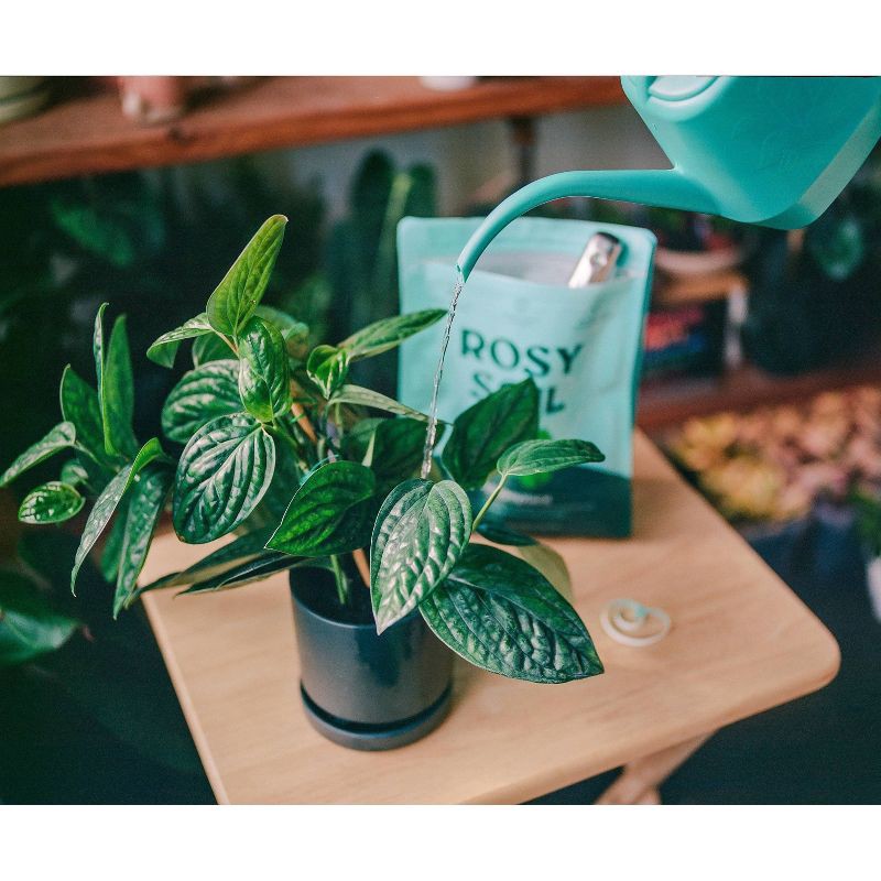 slide 14 of 14, Rosy Soil 4qt Houseplant Mix, 4 qt