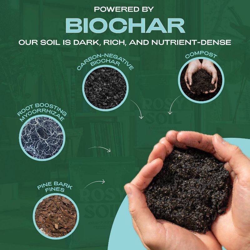 slide 6 of 14, Rosy Soil 4qt Houseplant Mix, 4 qt