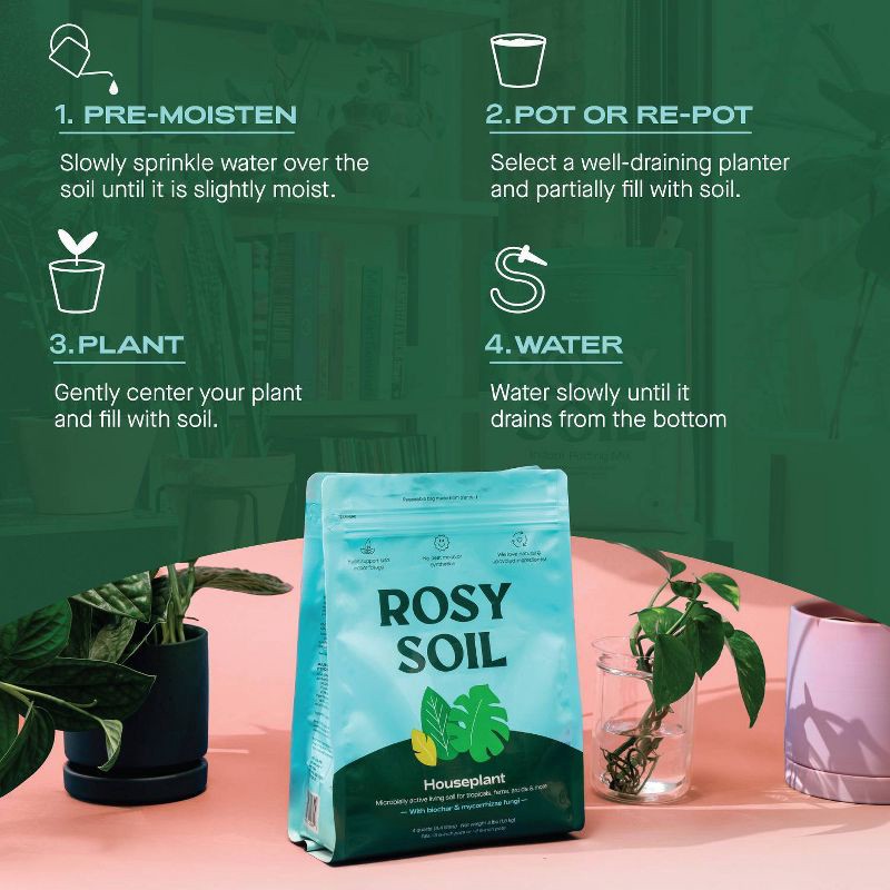 slide 7 of 14, Rosy Soil 4qt Houseplant Mix, 4 qt