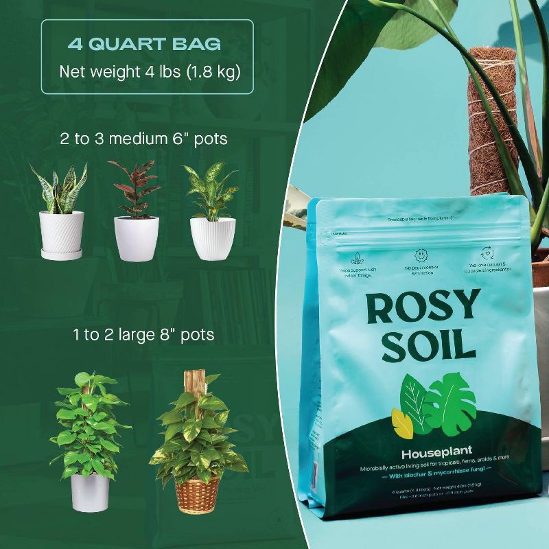 slide 8 of 14, Rosy Soil 4qt Houseplant Mix, 4 qt