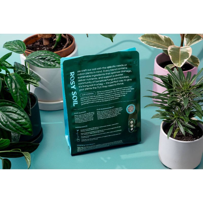 slide 10 of 14, Rosy Soil 4qt Houseplant Mix, 4 qt