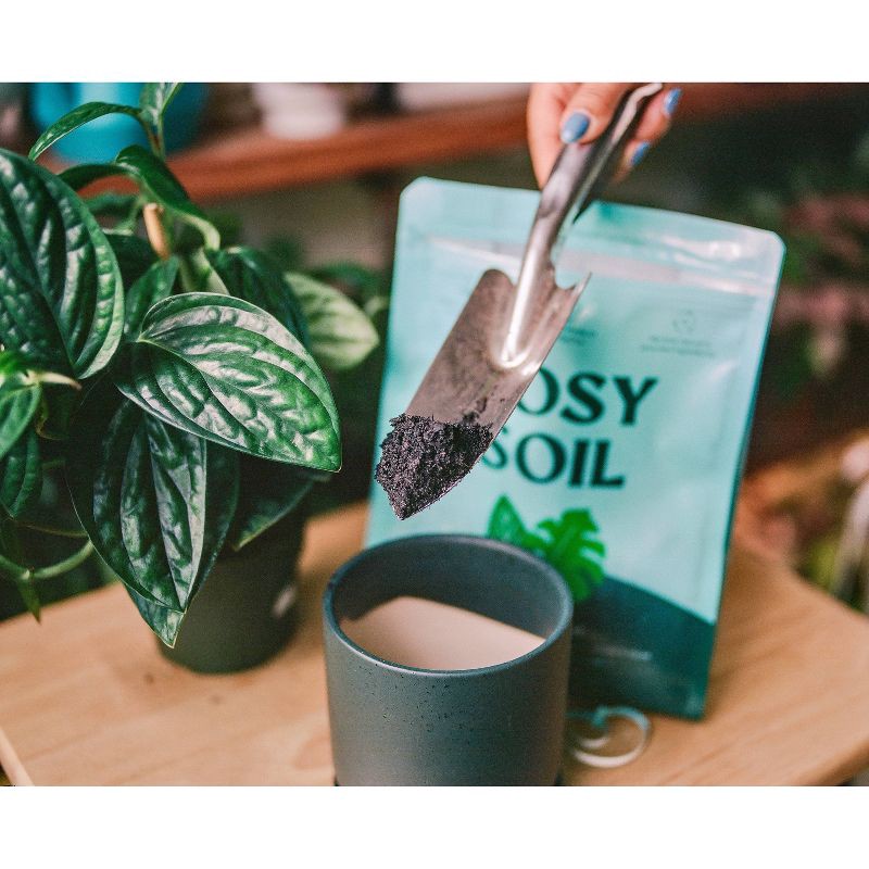 slide 12 of 14, Rosy Soil 4qt Houseplant Mix, 4 qt