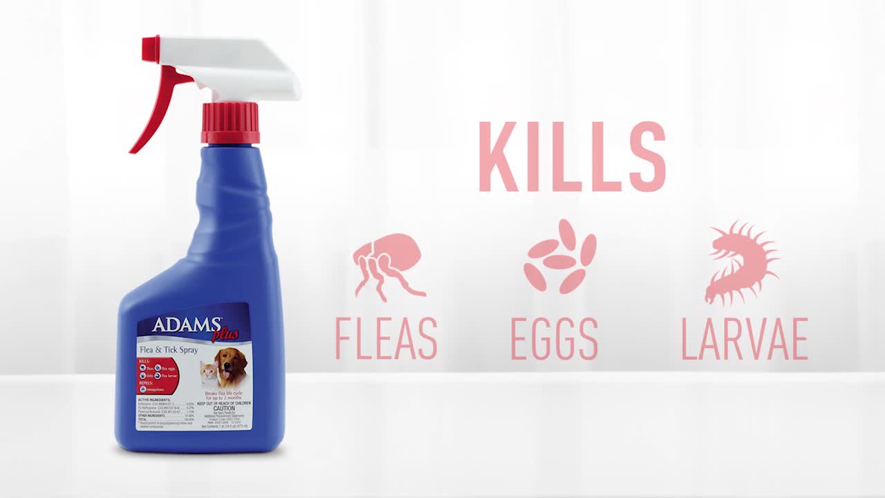 slide 7 of 10, Adams Plus Flea and Tick Spray for Cats and Dogs, 32 fl oz