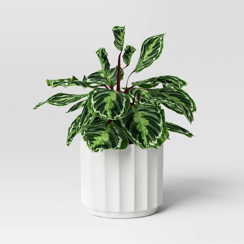 slide 3 of 4, Geared Terracotta Indoor Outdoor Planter Pot White 12.13"x12.13" - Threshold™, 1 ct