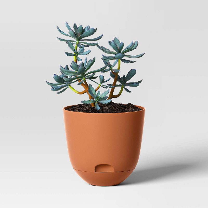 slide 3 of 4, Self-Watering Plastic Indoor Outdoor Planter Pot Cosmic Rust 8"x8" - Room Essentials™: Fade & Break-Resistant, 1 ct
