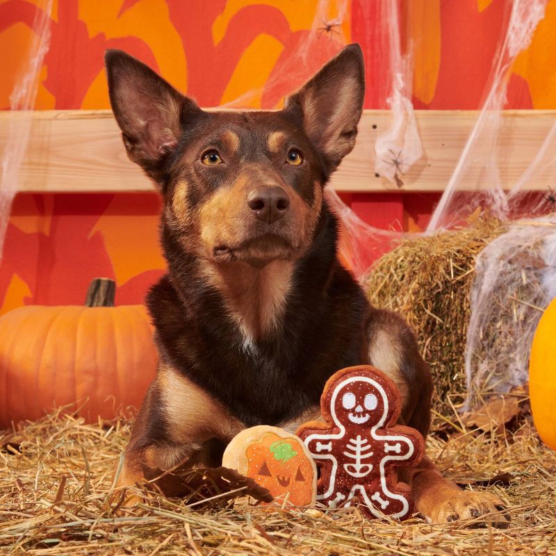 slide 3 of 6, BARK Halloween Spookie Cookies Dog Toy, 1 ct