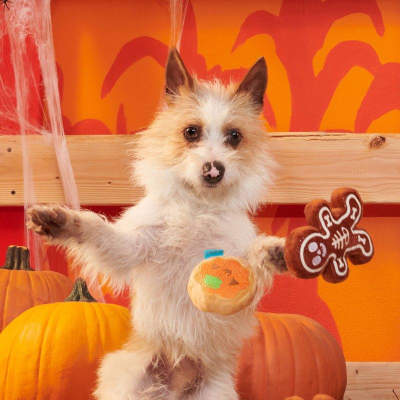 slide 4 of 6, BARK Halloween Spookie Cookies Dog Toy, 1 ct
