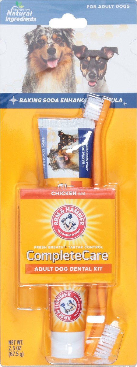 slide 6 of 9, Arm & Hammer Complete Dental Care Kit Dog, 1 ct