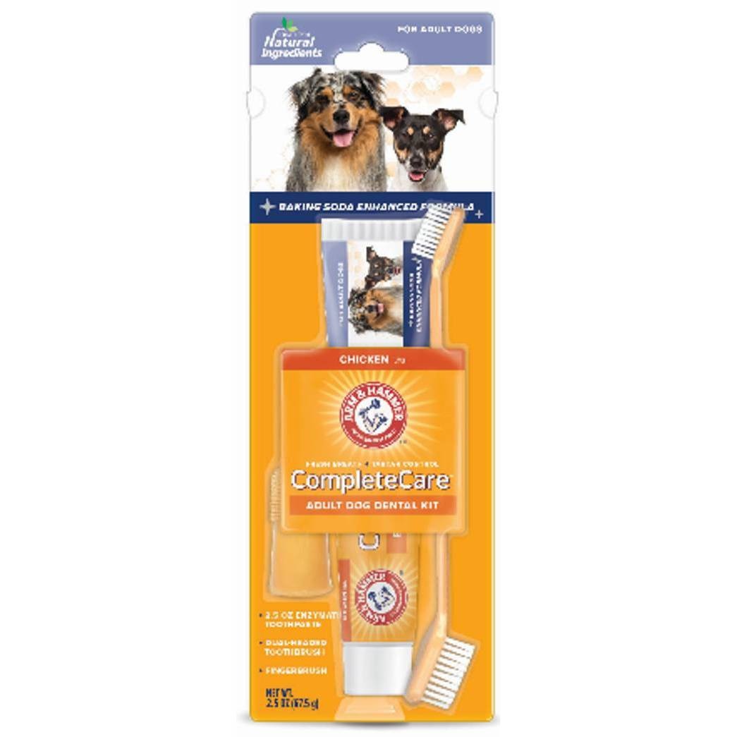 slide 1 of 1, ARM & HAMMER Multi-Care Tartar Control Toothbrush and Toothpaste Set for Dogs in Beef Flavor, 1 ct