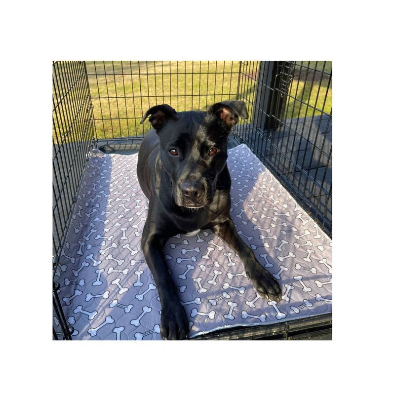 slide 7 of 11, rocket & rex Bone Print Washable Reusable Pee Pads for Dogs - L - Gray - 2ct, 2 ct
