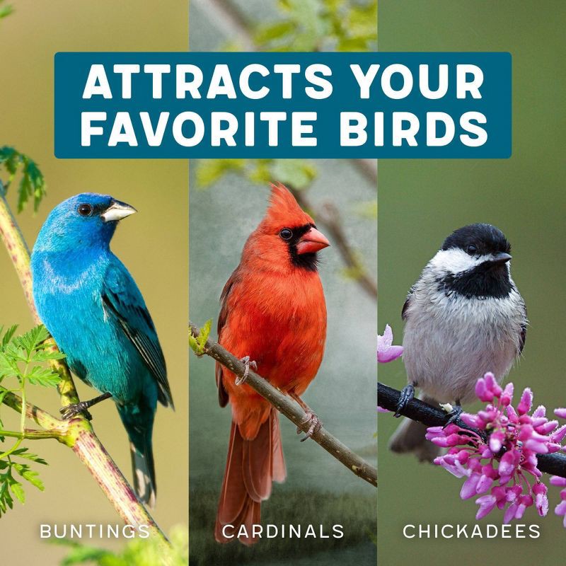 slide 7 of 9, Melody Select 4lb Songbird Supreme Wild Bird Food: Nut & Fruit Blend, Attracts Variety of Birds, USA Made, 4 lb