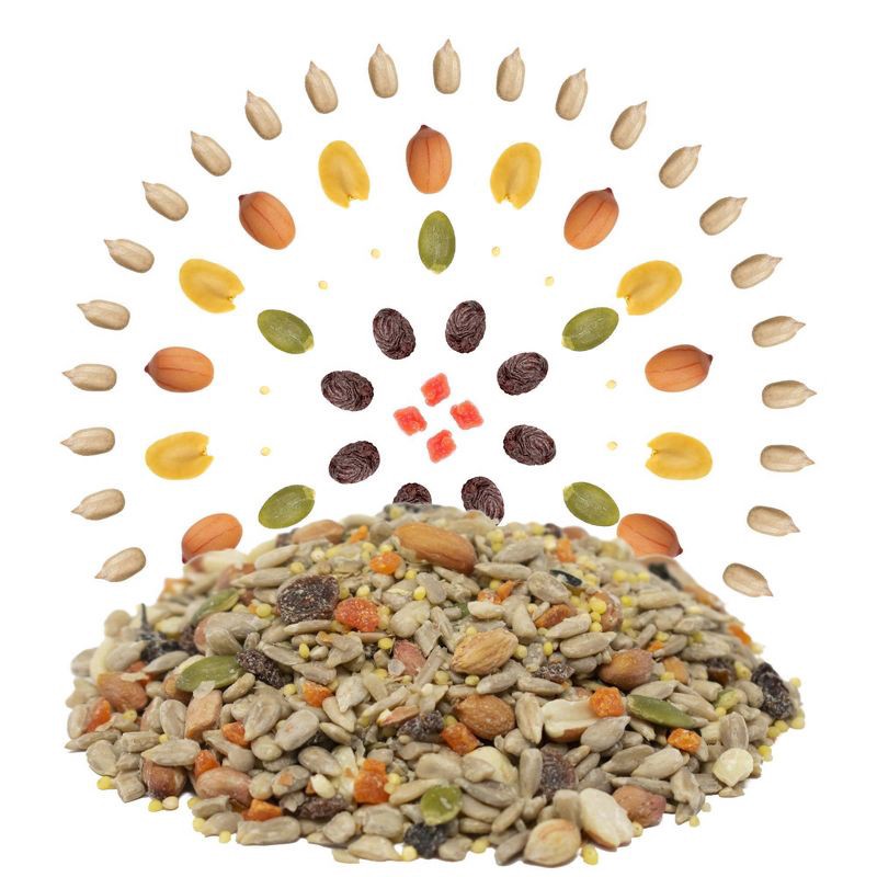 slide 3 of 9, Melody Select 5lb Waste Free Nut & Fruit Wild Bird Food: Shell-Free, Sunflower Hearts, Peanuts, 5 lb