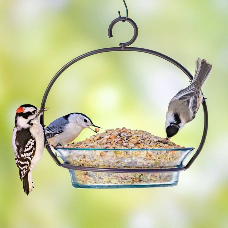 slide 8 of 9, Melody Select 5lb Waste Free Nut & Fruit Wild Bird Food: Shell-Free, Sunflower Hearts, Peanuts, 5 lb