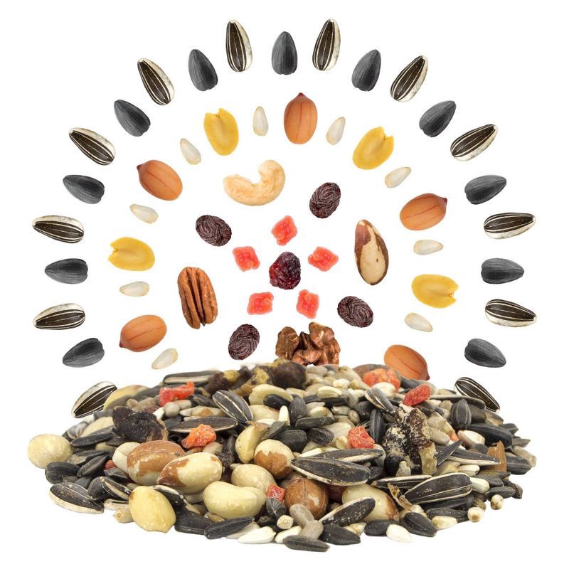 slide 3 of 9, Melody Select 4.5lb Nut, Fruit & Berry Wild Bird Food, 4.5 lb