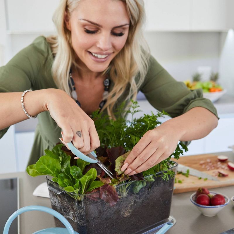 slide 2 of 6, Garden Republic Herb Garden Seed Kit, 1 ct