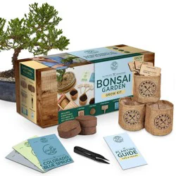 Garden Republic Bonsai Garden Grow Kit