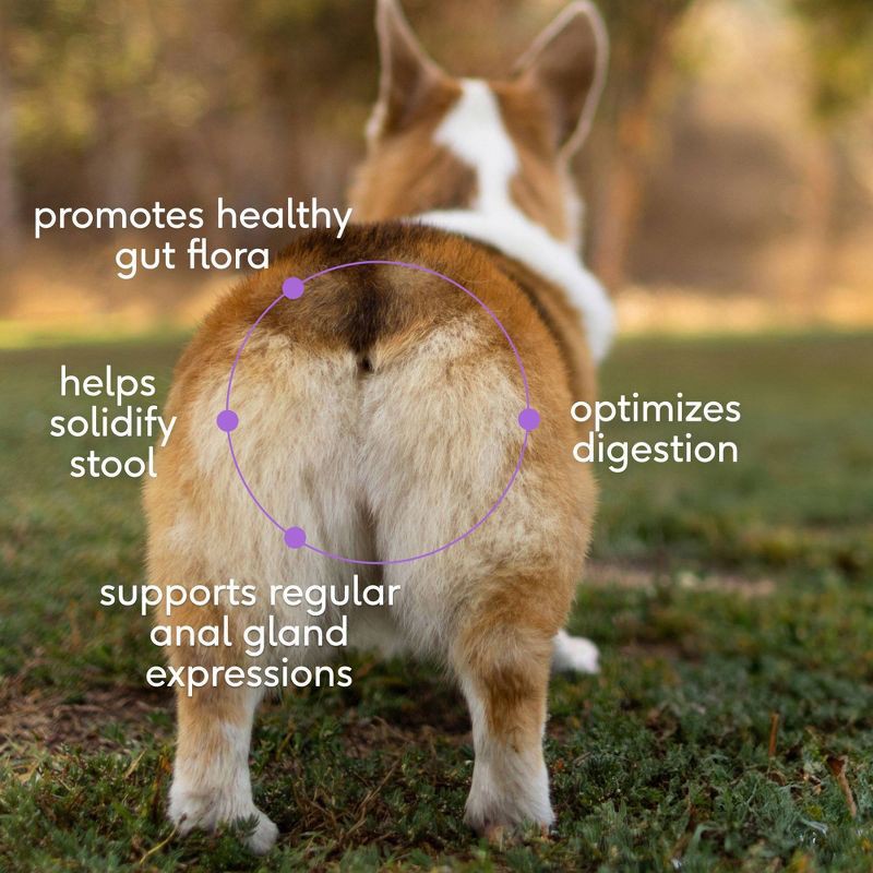 slide 3 of 7, Native Pet WonderGland Anal Gland Supplement with Pumpkin for Dogs - 16oz, 16 oz