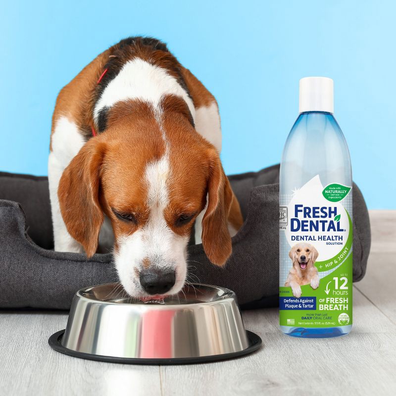 slide 3 of 5, Naturel Promise Dental Health Solution for Dogs - 17.9oz, 17.9 oz