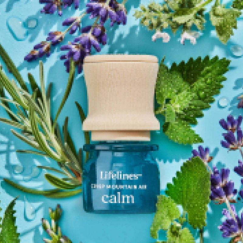 slide 7 of 10, 2pk Grounding Stones - Meditative Fidget Collection plus Essential Oil Blend - Lifelines: Spa Experience, Passive Oil Diffuser, No Battery Required, 2 ct