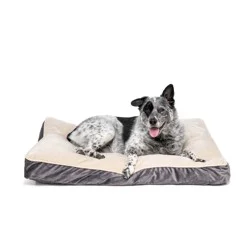 EveryYay Essentials Lounger Dog Bed, 40" L X 30" W X 4" H, Large, Gray