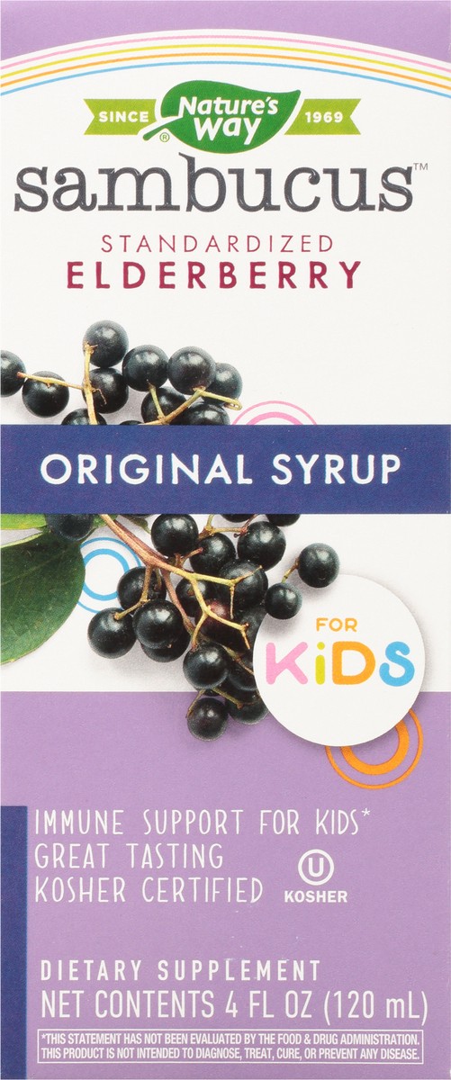 slide 6 of 9, Nature's Way Elderberry For Kids Immune Support Syrup, 4 fl oz