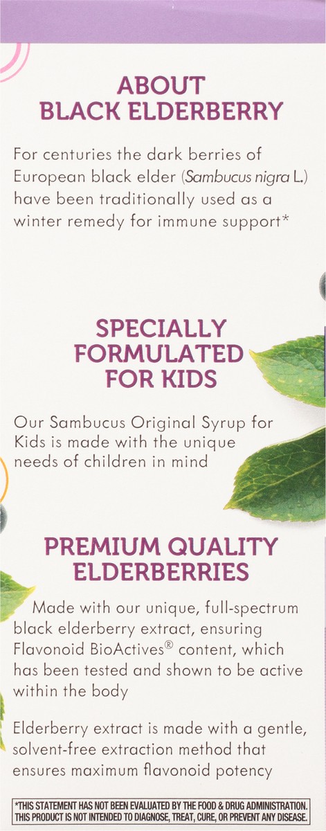 slide 7 of 9, Nature's Way Elderberry For Kids Immune Support Syrup, 4 fl oz