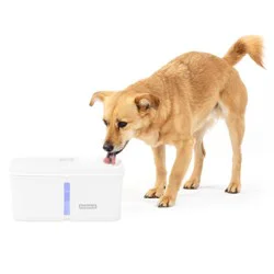 PetSafe Outlast Pumpless Dog Water Fountain, 128 fl oz