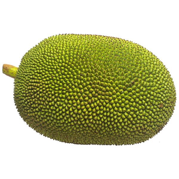 slide 1 of 1, Jackfruit- Melissas, per lb