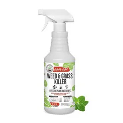 Mighty Mint 31oz Outdoor Weed and Grass Killer