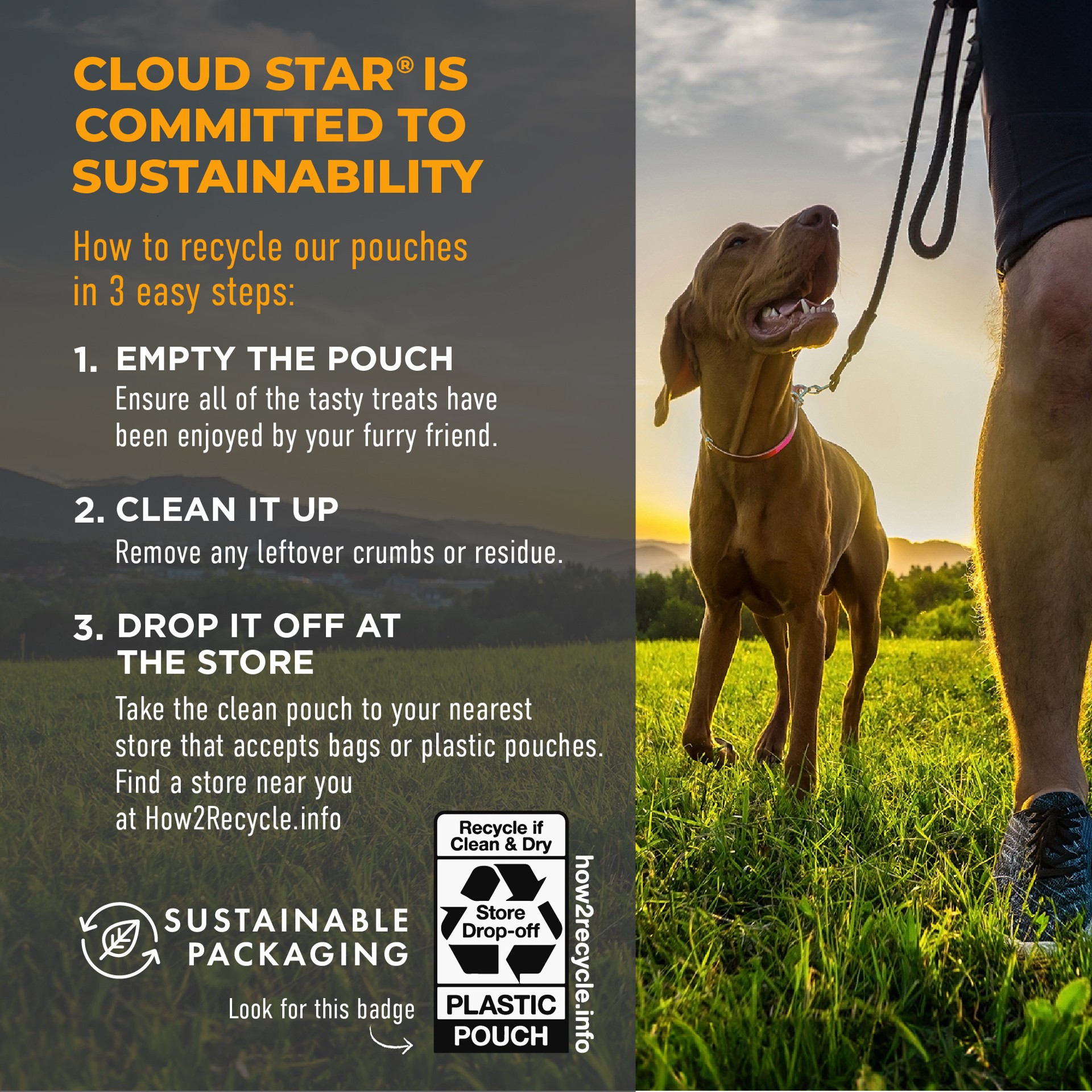 slide 5 of 5, Cloud Star Tricky Trainers Soft & Chewy Training Treats for Dogs with Cheddar 5 oz, 5 oz