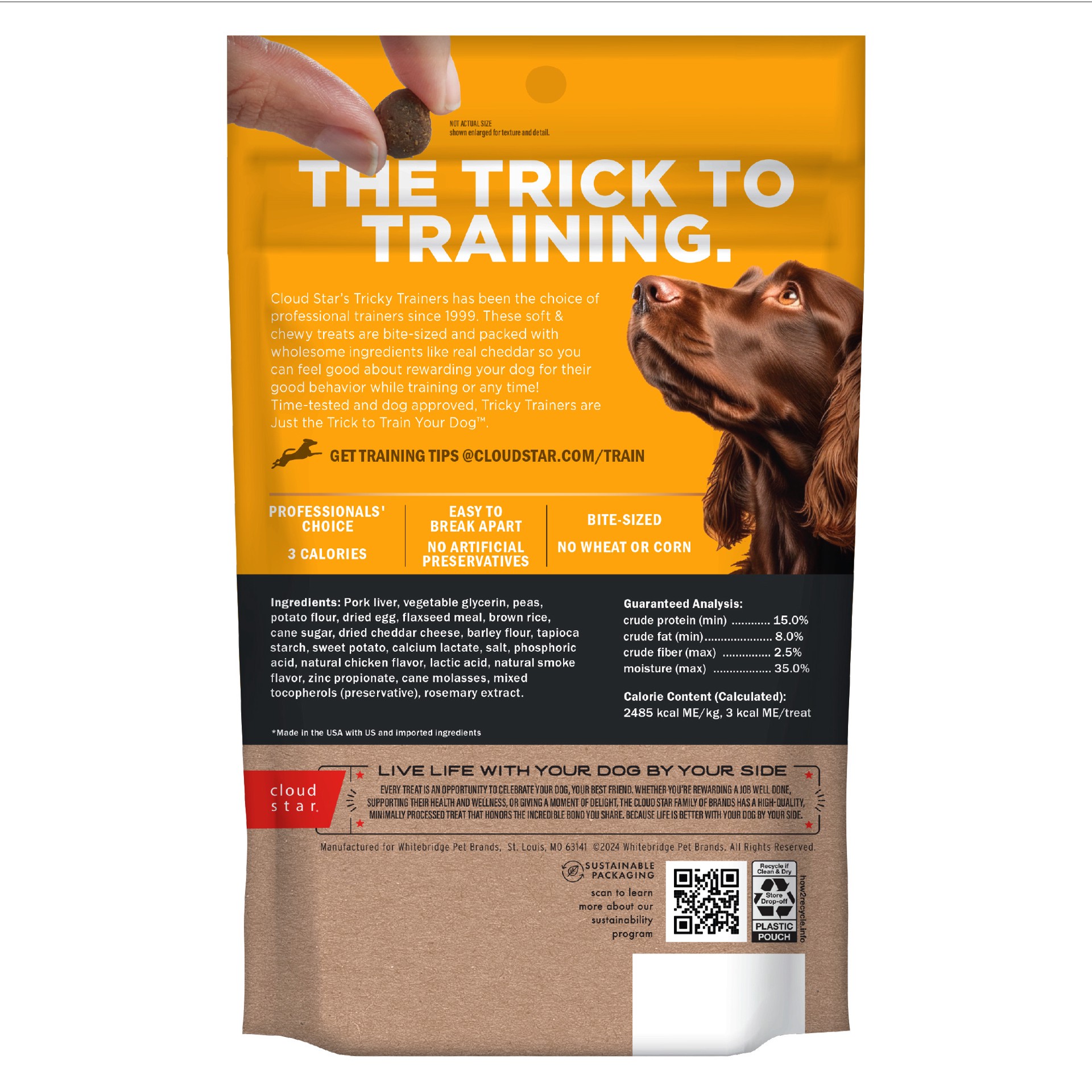 slide 2 of 5, Cloud Star Tricky Trainers Soft & Chewy Training Treats for Dogs with Cheddar 5 oz, 5 oz