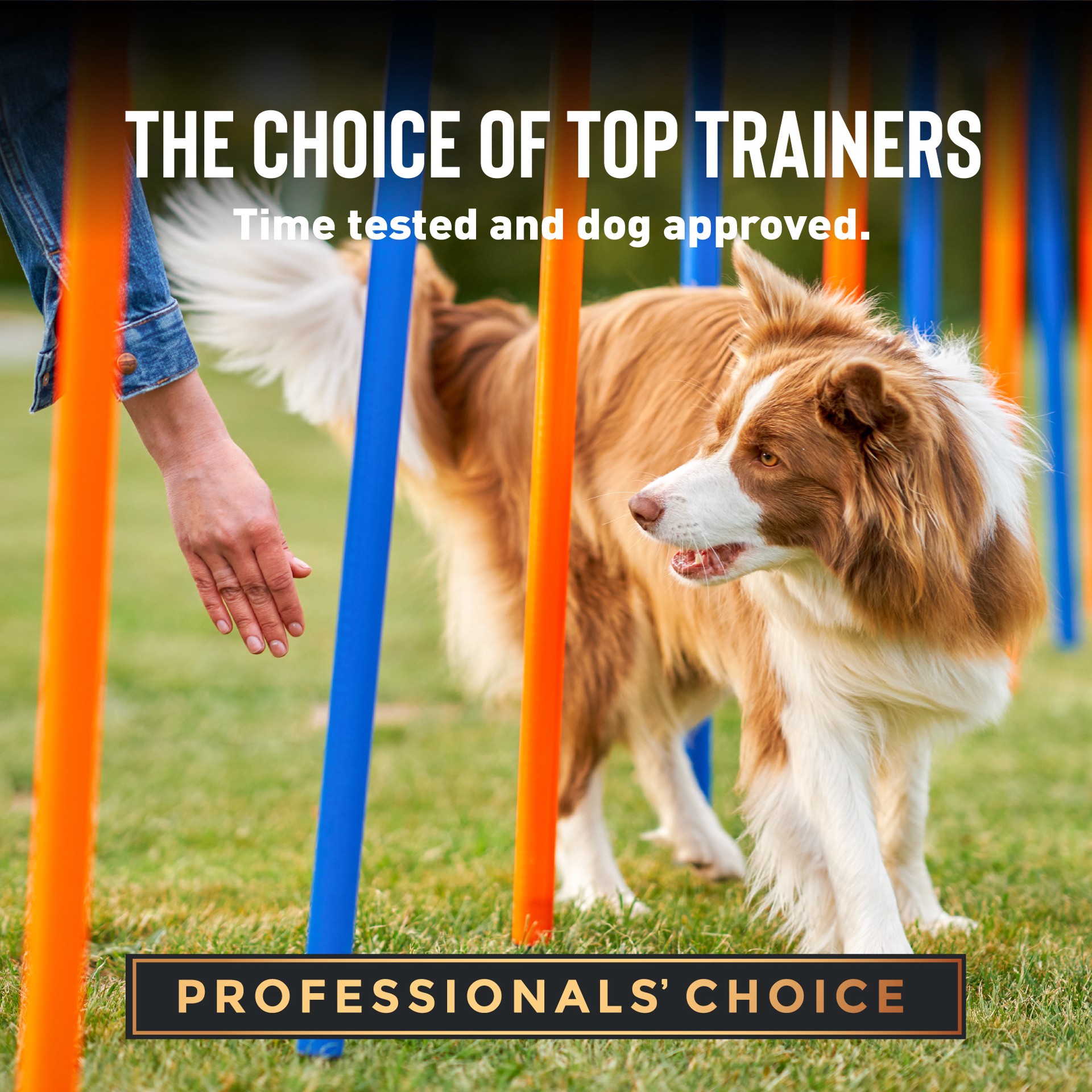 slide 3 of 5, Cloud Star Tricky Trainers Soft & Chewy Training Treats for Dogs with Cheddar 5 oz, 5 oz