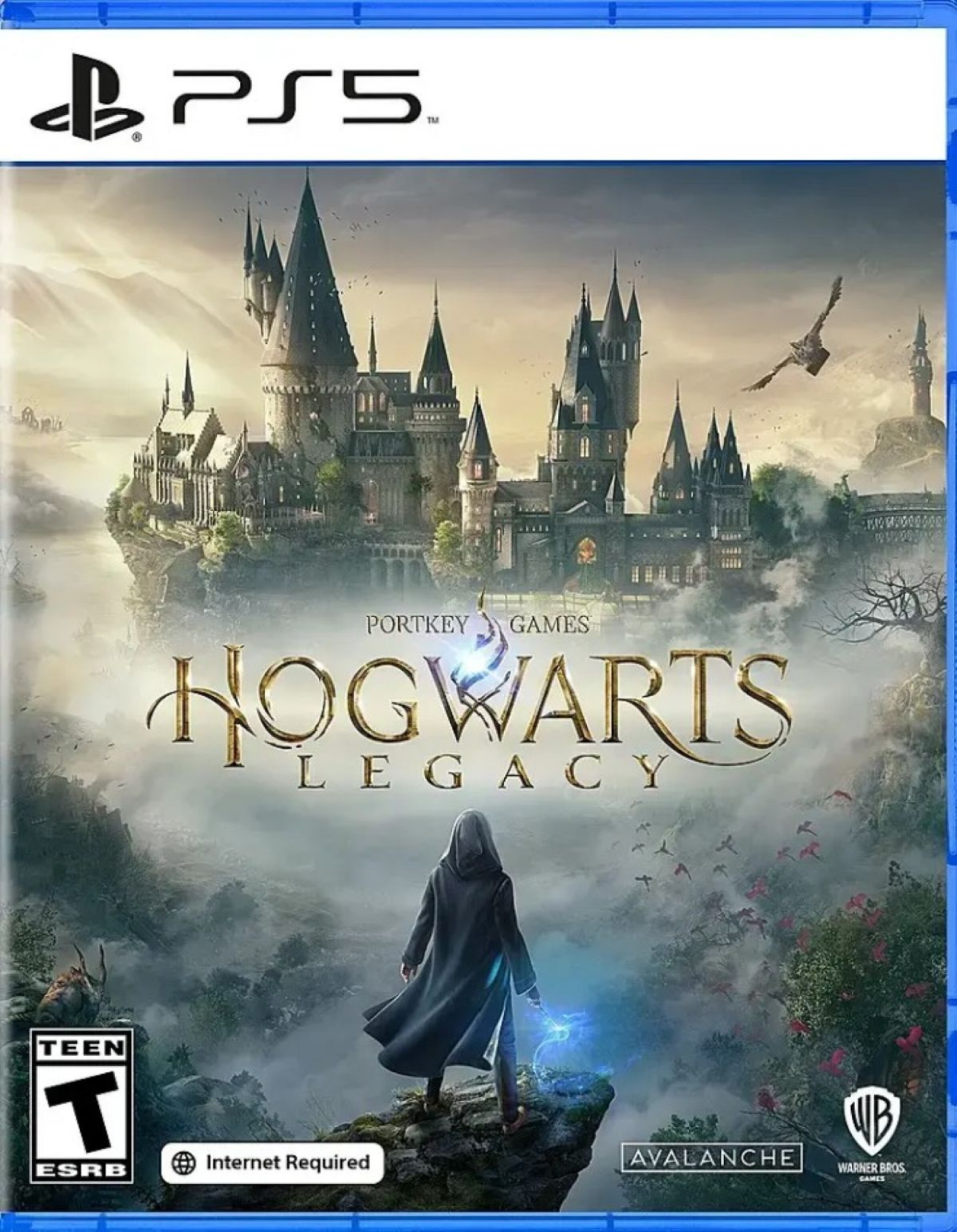 slide 1 of 1, Warner Bros. Hogwarts Legacy - PlayStation 5, 1 ct