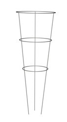 Plants & Planters category image
