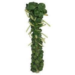 Fresh Brussels Sprouts - 1 ea