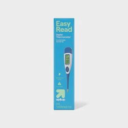 Fever Flash Thermometer - up&up™