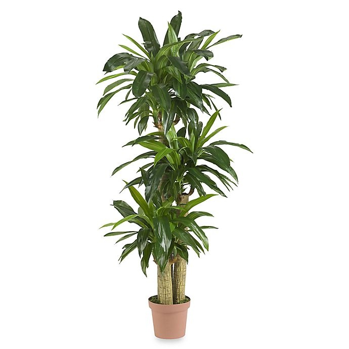 slide 1 of 1, Nearly Natural Real Touch Indoor/Outdoor Tropical Silk Dranaena Plant - Green, 57 in