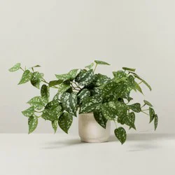 Hearth & Hand with Magnolia 10" Faux Satin Variegated Pothos Plant - Hearth & Hand™ with Magnolia: Indoor Decorative Artificial Foliage in Off-White Pot