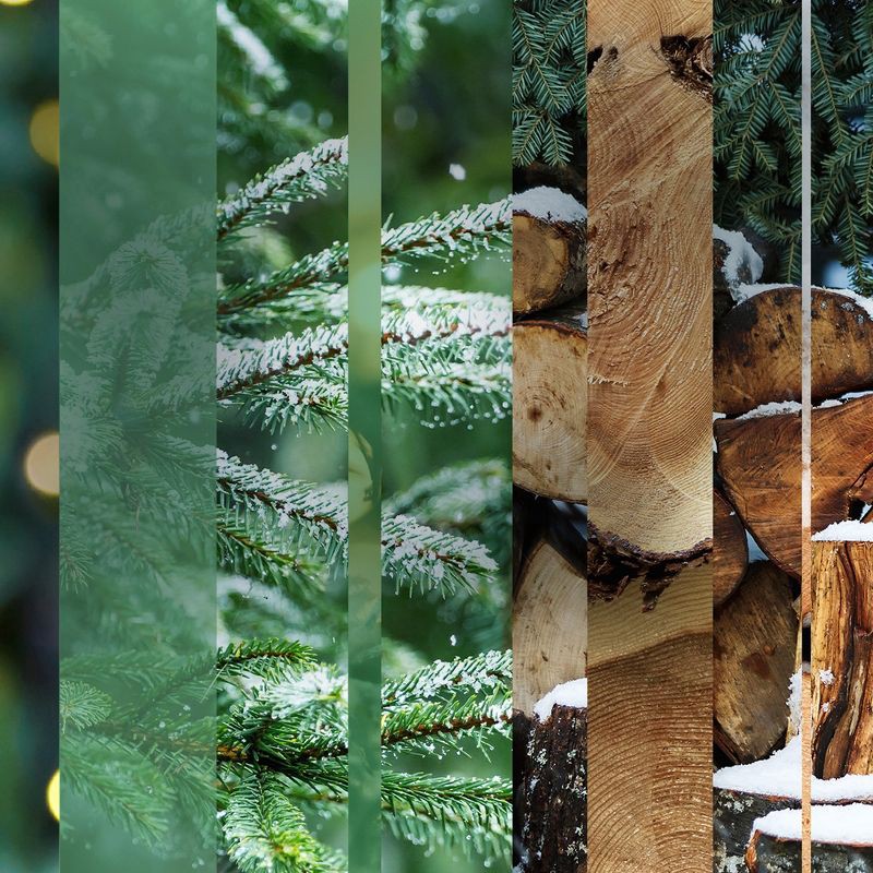 slide 2 of 16, Glade PlugIns Scented Oil Air Freshener - Twinkling Pine & Cedar Refill - 3.35oz/5pk, 5 ct; 3.35 oz