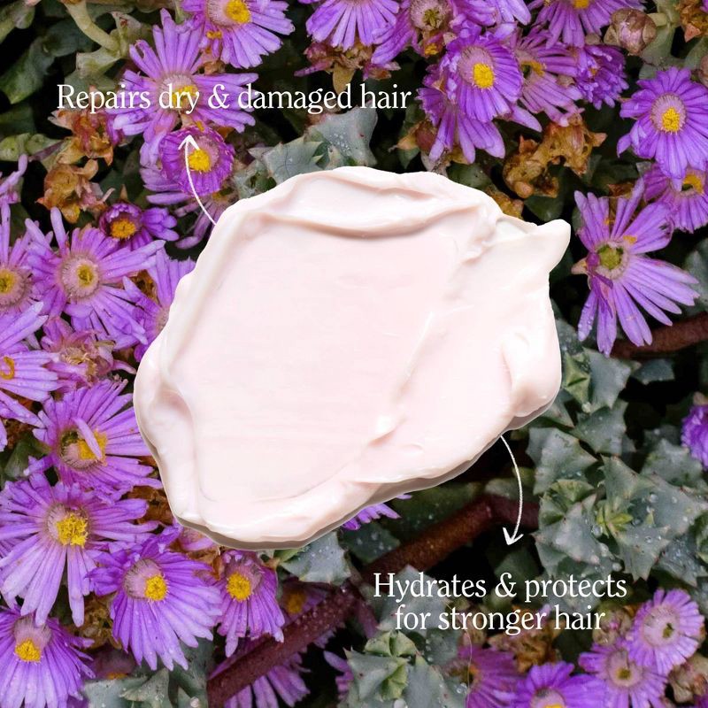 slide 2 of 9, California Naturals Leave-In Conditioner & Detangler - 6 fl oz, 6 fl oz