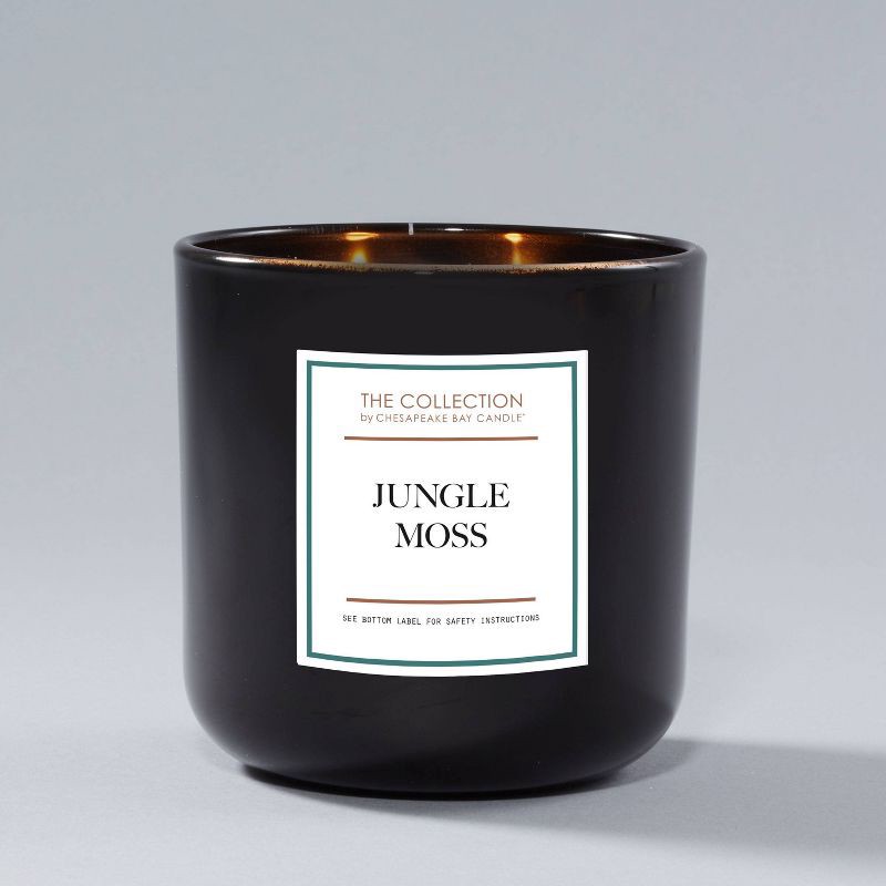 slide 3 of 5, 2-Wick Black Glass Jungle Moss Lidded Jar Candle 12oz - The Collection by Chesapeake Bay Candle, 12 oz