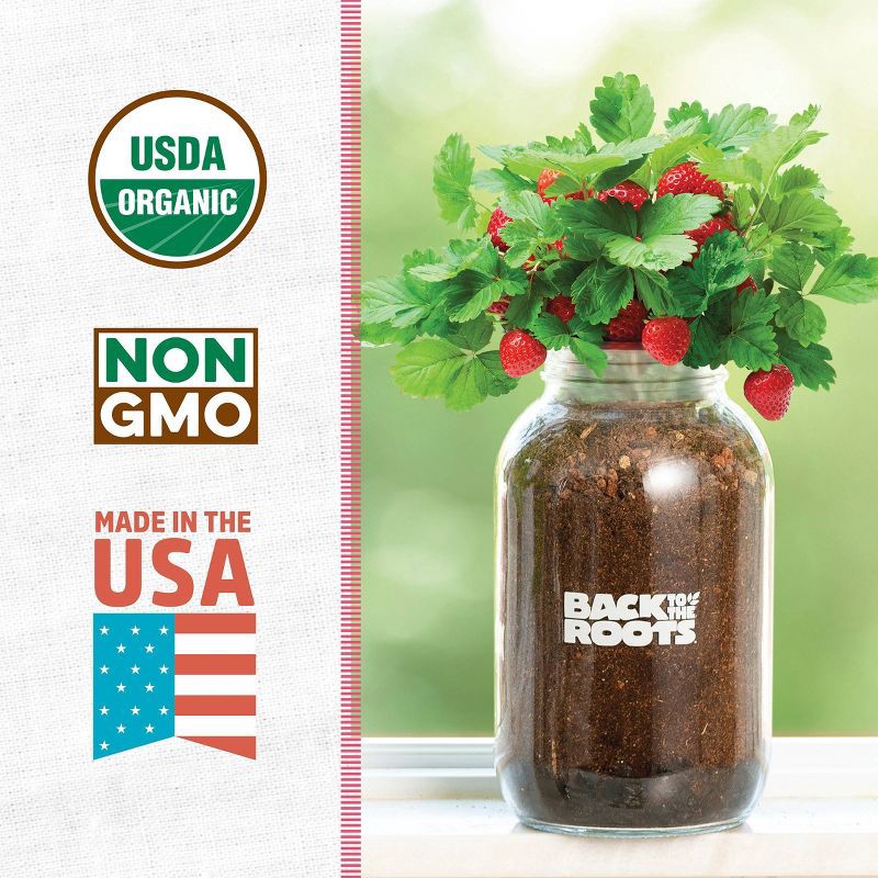 slide 3 of 11, Back to the Roots Organic Strawberry Grow Kit, 1 ct