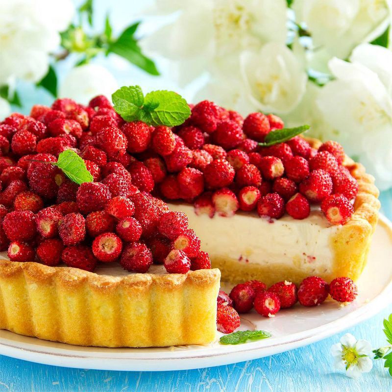 slide 6 of 11, Back to the Roots Organic Strawberry Grow Kit, 1 ct