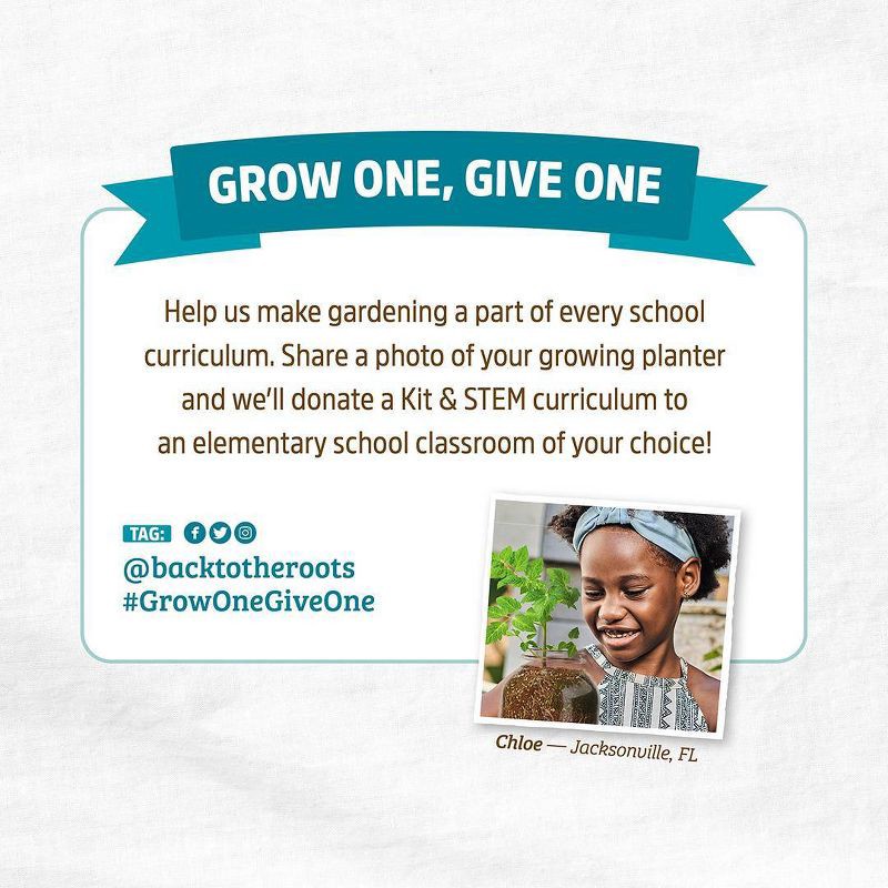 slide 9 of 11, Back to the Roots Organic Strawberry Grow Kit, 1 ct